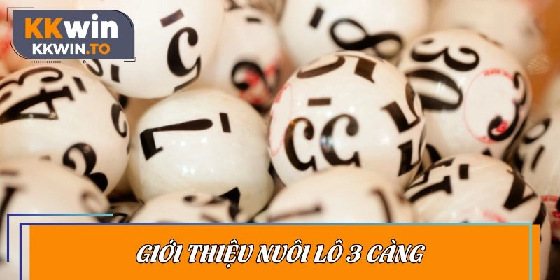 Giới thiệu nuôi lô 3 càng