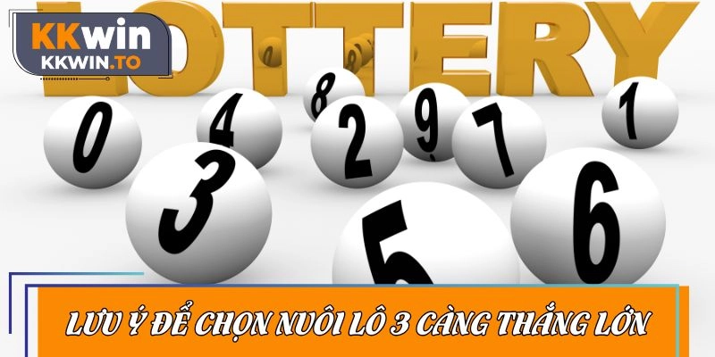 Nắm bắt các lưu ý để chọn nuôi lô 3 càng thắng lớn